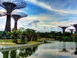 Singapur Gardens by the Bay CCBY2.0-kyeniz-at-flickr
