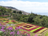 Funchal Botanischer Garten CBYSA VillageHero-at-flickr
