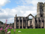 7 Fountains Abbey CCBY4.0-Spencer Means-at-flickr
