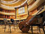 Main Hall and Cello (C) Sibelius Hall

