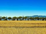 Toskanische Landschaft CC0 Pixabay
