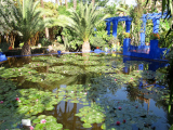 Jardin Majorelle in Marrakesch CCBY Tracy Hunter at-flickr
