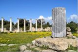 Salamis CCBYSA Dr Korom at-wikimedia.commons