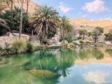 Wadi Bani Khalid CC0 Pixabay