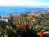 Panorama von Funchal CCBYSA 3.0 at-wikimedia.commons