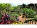 Blandy`s Garden CCBYSA 4.0 Anna Saini at-wikimedia.commons