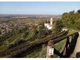 Blick über die Collio-Weinregion CC BY-SA 4.0 Naturpuur 